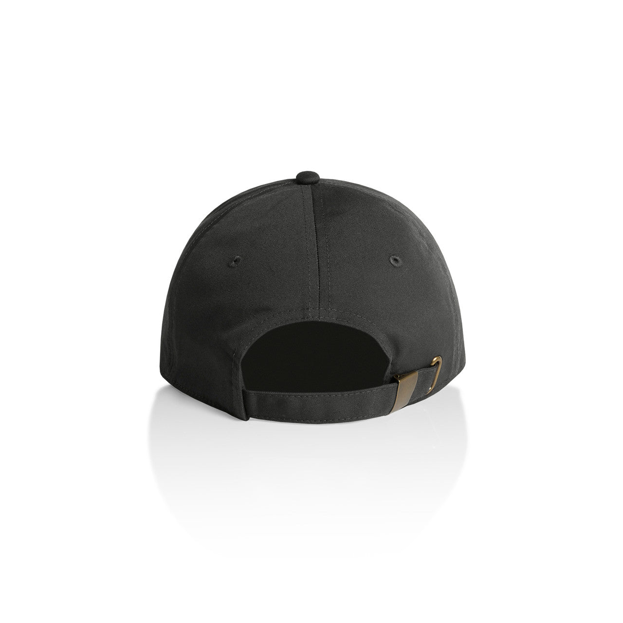 Access Cap Coal - Back