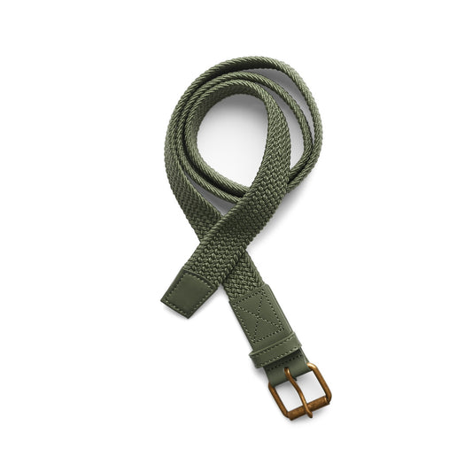 Mesh Belt 1403