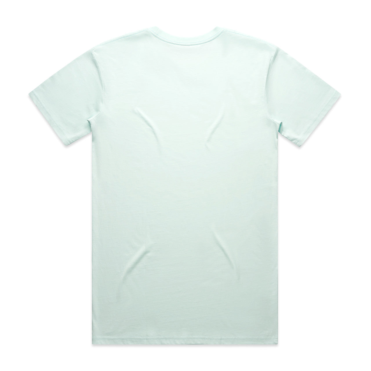 Staple Tee (5XL) Seafoam - Back