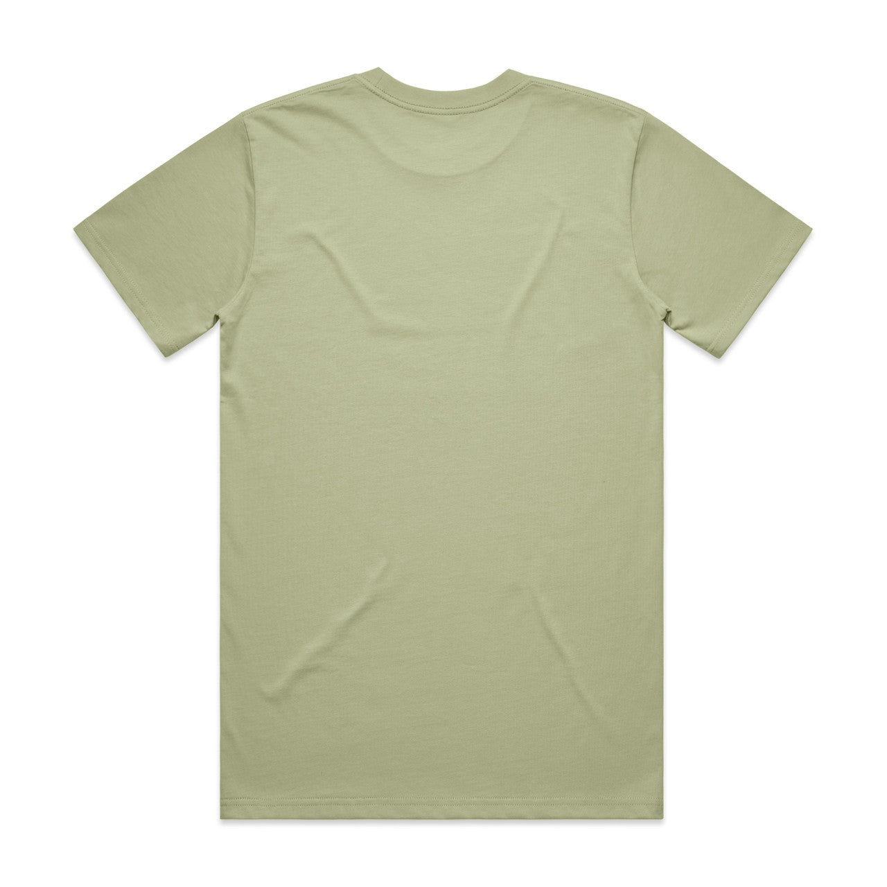 Classic Tee (5XL) Pistachio - Back